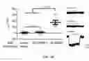 Fig. 34 - Methods for identifying compounds as modulators of SLC38A9 interactions