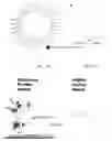 Fig. 20 - Multiplexed Proteomics and Phosphoproteomics