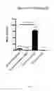 Fig. 06 - Methods and compositions for diagnosis and treatment of meningitis