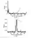 Fig. 07 - Motion tracking via body radio reflections