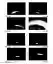 Fig. 09 - Motion tracking via body radio reflections