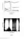 Fig. 10 - Motion tracking via body radio reflections