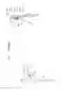 Fig. 13 - Polygon mirror, fan beam output device, and survey system