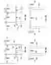 Fig. 16 - Augmented three dimensional point collection of vertical structures