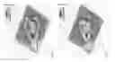 Fig. 01 - Geomechanical modeling using dynamic boundary conditions from time-lapse data