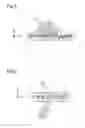 Fig. 04 - Optical element