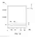 Fig. 04 - Front light module and display module