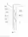 Fig. 06 - Light guide plate assembly