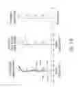 Fig. 11 - Optical image capturing system