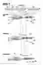 Fig. 02 - Zoom lens and imaging apparatus