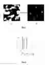 Fig. 06 - Locally imaging a structure in a sample at high spatial resolution