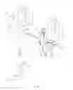 Fig. 14 - Polarized enhanced confidentiality