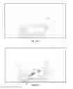Fig. 32 - Polarized enhanced confidentiality