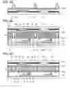 Fig. 07 - DISPLAY DEVICE AND METHOD FOR MANUFACTURING THE SAME