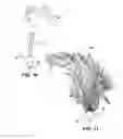 Fig. 08 - Device and method for gaze attraction toward camera