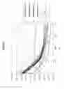 Fig. 12 - Video projecting structure, method for manufacturing video projecting structure, video projecting method, and automobile window