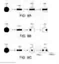 Fig. 09 - Spectroscopic beam profile overlay metrology