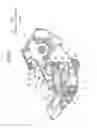 Fig. 11 - Developing cartridge having electrode