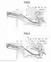 Fig. 09 - Image forming apparatus