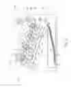 Fig. 03 - Process cartridge including a coupling member and a sheet that contacts the coupling member