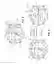 Fig. 07 - Smart watch