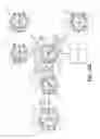 Fig. 12 - Smart watch