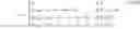 Fig. 07 - Petri Net-based Scheduling of Time Constrained Single-arm Cluster Tools with Wafer Revisiting