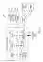 Fig. 02 - Curved body and wearable device therewith