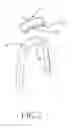 Fig. 04 - Curved body and wearable device therewith