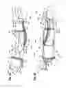 Fig. 08 - Whole body human-computer interface