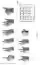 Fig. 50 - SYSTEMS AND METHODS FOR CONTROLLING DEVICE OPERATION ACCORDING TO HAND GESTURES