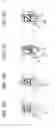Fig. 04 - Biometric authentication system and method