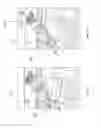 Fig. 17 - Message user interfaces for capture and transmittal of media and location content