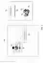 Fig. 09 - Electronic device with an interactive pressure sensitive multi-touch display