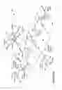 Fig. 05 - Correlation analysis of program structures