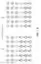 Fig. 23 - IDENTIFYING MULTIPLE IDENTICAL DEVICES ON A SHARED BUS