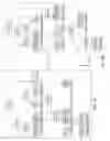 Fig. 05 - Enhanced annotation tool