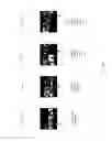 Fig. 22 - SELECTIVELY PROCURING AND ORGANIZING EXPRESSIVE MEDIA CONTENT