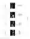 Fig. 22 - PLATFORM AND DYNAMIC INTERFACE FOR EXPRESSION-BASED RETRIEVAL OF EXPRESSIVE MEDIA CONTENT