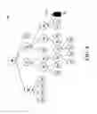 Fig. 07 - Tree-search temporal-miss handling