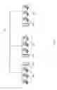 Fig. 03 - MULTI-QUERY OPTIMIZATION