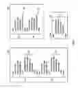 Fig. 05 - Creating data objects to separately store common data included in documents
