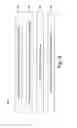 Fig. 08 - Detecting longest regular expression matches