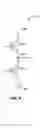 Fig. 07 - Hybrid diffusion standard library cells, and related systems and methods