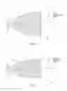 Fig. 06 - Module or arrangement for, and method of, uniformly and efficiently illuminating a target by generating an illumination pattern that is substantially congruent to and overlaps a field of view of an imaging reader
