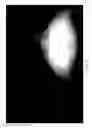 Fig. 10 - Vehicle vision system with detection enhancement using light control