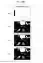 Fig. 22 - Image recognition method