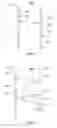 Fig. 05 - METHODS AND SYSTEMS FOR DETERMINING A RETARGETING SEQUENCE OF ADVERTISEMENTS  ACROSS PLATFORMS