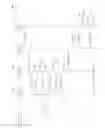 Fig. 04 - Measuring Inline Ad Performance for Third-Party Ad Serving