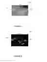 Fig. 06 - Method and apparatus for enhancing images via white pop-out